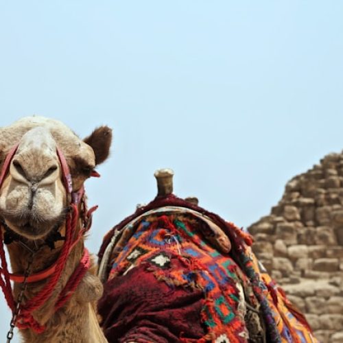 roxanne-desgagnes-qwbA2RcohIU-unsplash